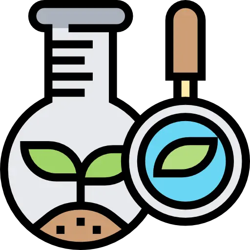 Imagen Test